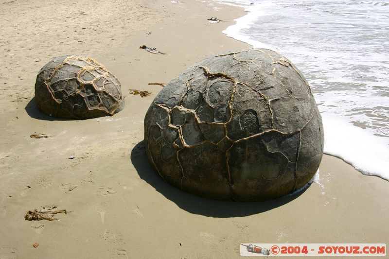 Moeraki Boulders
Mots-clés: New Zealand South Island plage