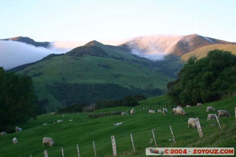 Banks Peninsula at dusk
Mots-clés: New Zealand South Island sunset brume animals Mouton
