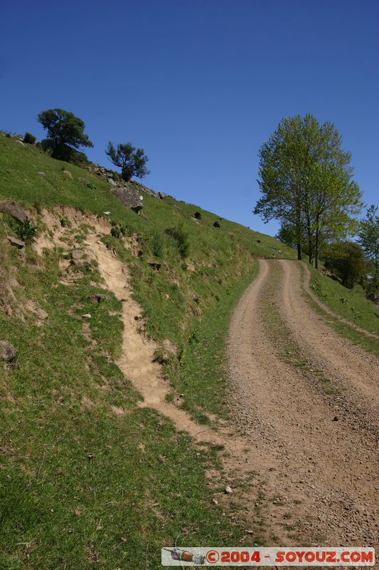 Banks Peninsula
Mots-clés: New Zealand South Island