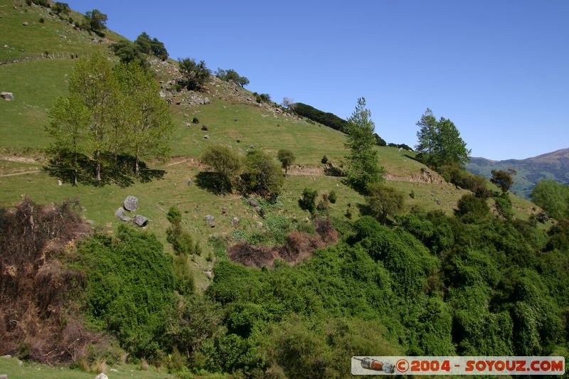 Banks Peninsula
Mots-clés: New Zealand South Island