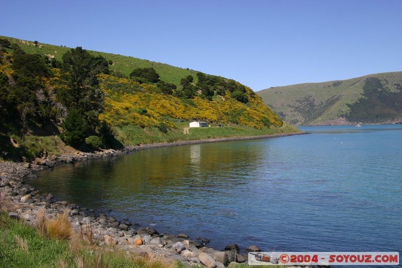 Banks Peninsula - Onuku
