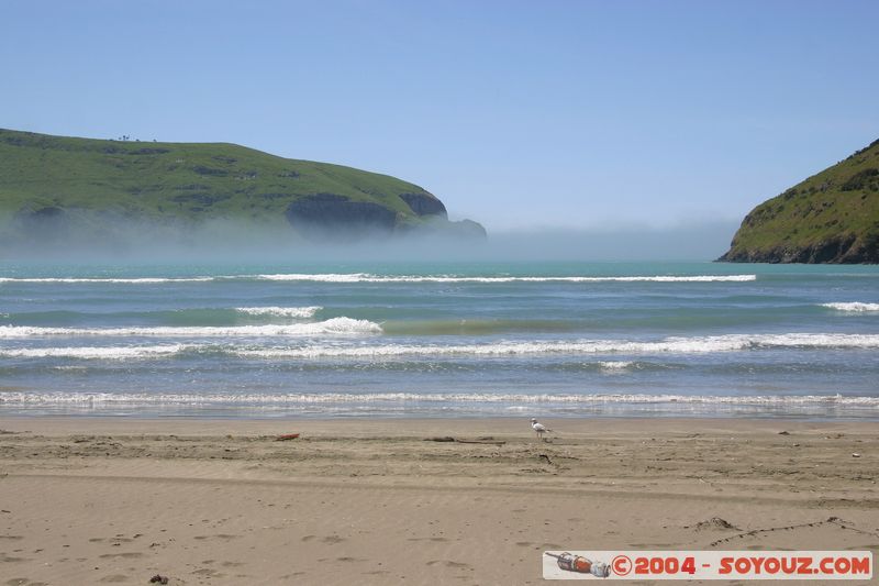 Banks Peninsula - Le Bons Bay
Mots-clés: New Zealand South Island mer plage brume