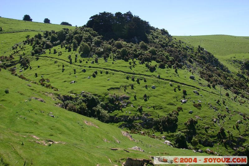 Banks Peninsula - Okains Bay
Mots-clés: New Zealand South Island