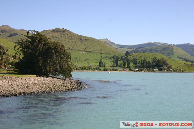 Banks Peninsula - Port Levy
Mots-clés: New Zealand South Island mer