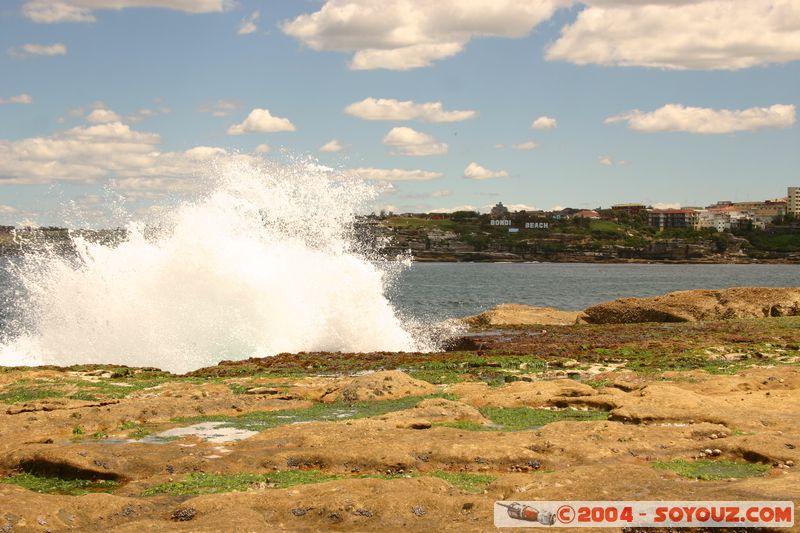 Bondi beach
