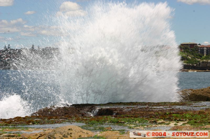 Bondi beach
