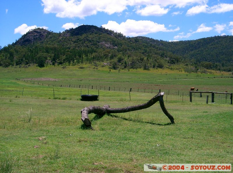 Gunnedah - countryside
