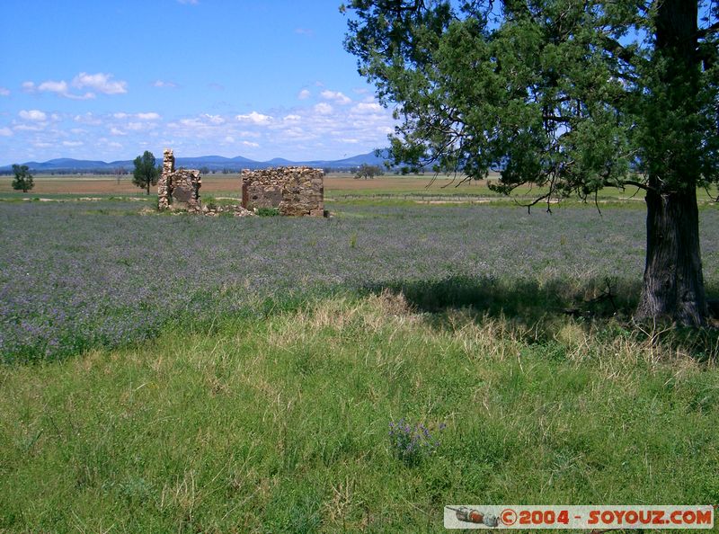 Gunnedah - countryside
