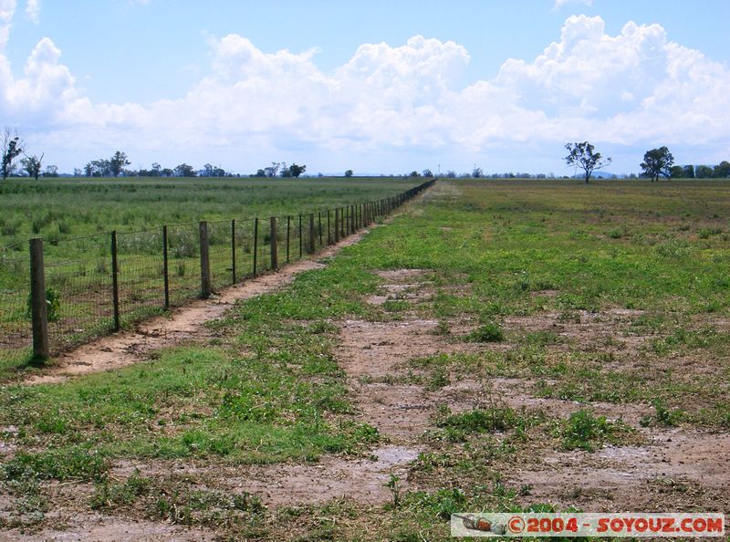 Gunnedah - countryside
