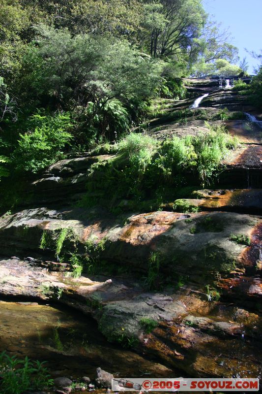 Blue Mountains
Mots-clés: patrimoine unesco