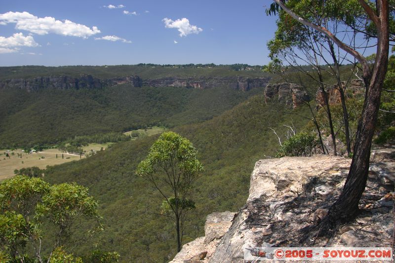 Blue Mountains - Megalong Valley
Mots-clés: patrimoine unesco