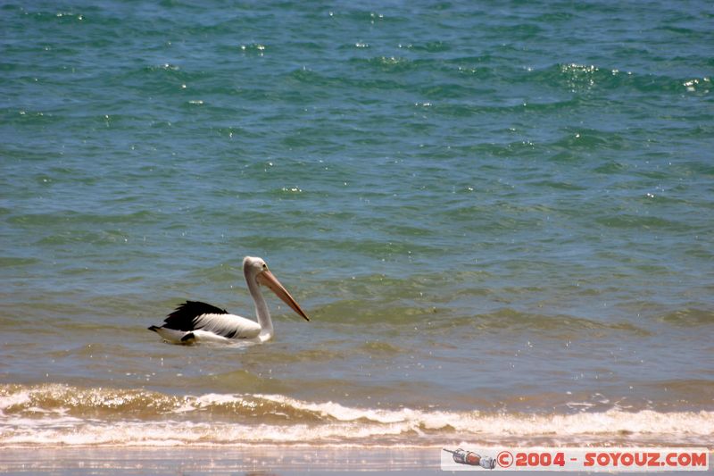 Hervey Bay
