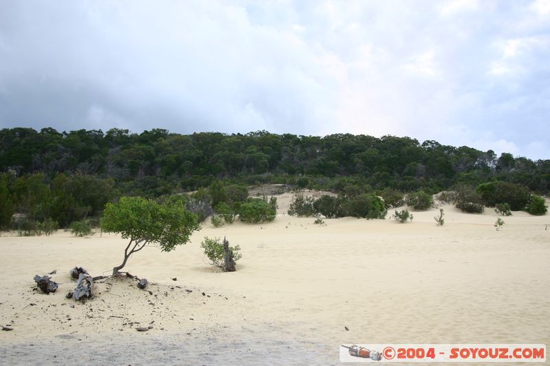 Fraser Island - Lake Wabby
Mots-clés: patrimoine unesco