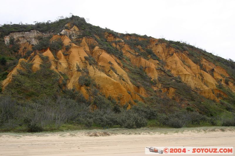 Fraser Island - Cooloola sandpatch
Mots-clés: patrimoine unesco