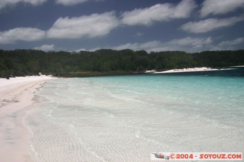 Fraser Island - McKenzie lake
Mots-clés: patrimoine unesco