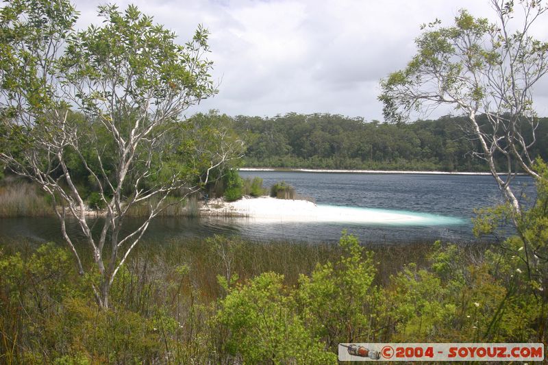 Fraser Island - McKenzie lake
Mots-clés: patrimoine unesco