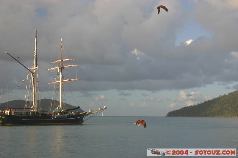 Whitsundays - Eagle
Mots-clés: bateau animals oiseau Aigle
