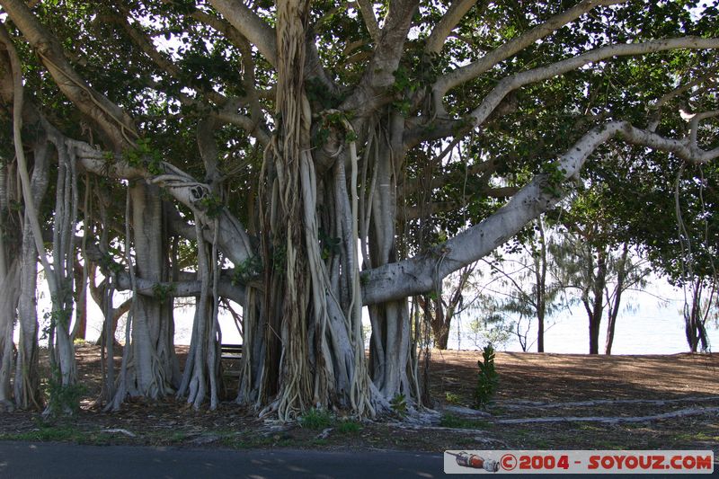 Magnetic Island - Geoffrey Bay
