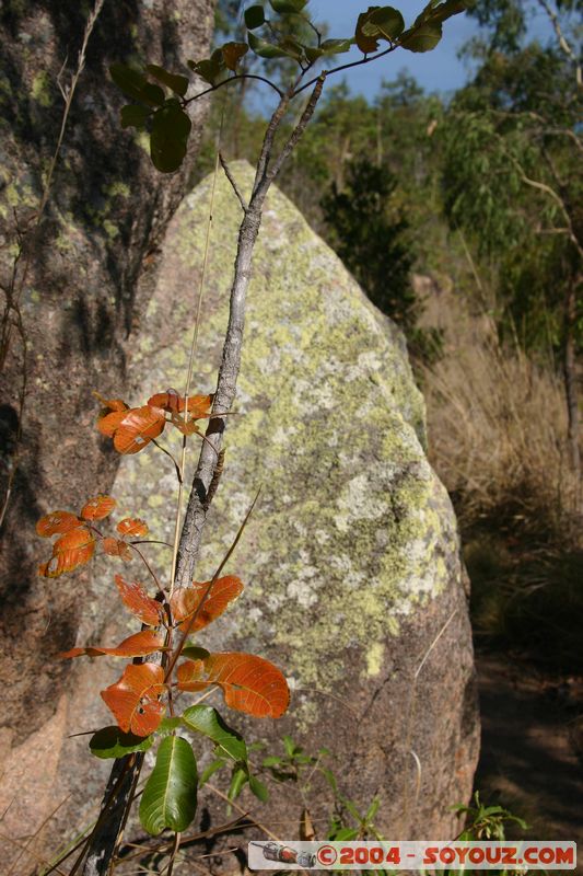 Magnetic Island
