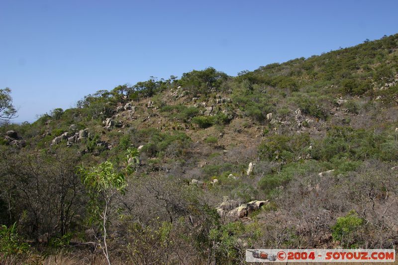 Magnetic Island
