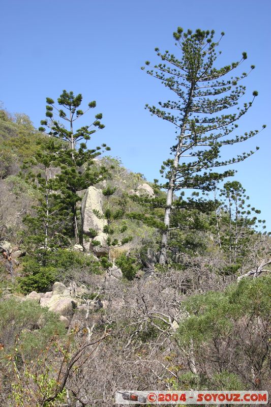 Magnetic Island
