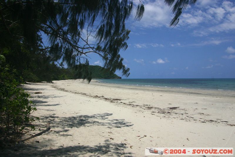 Myall Beach

