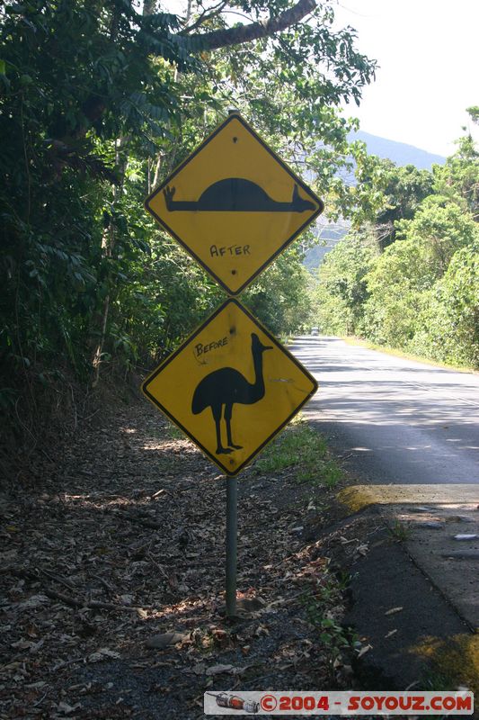 Cap Tribulation - Cassowary Warning
Mots-clés: patrimoine unesco