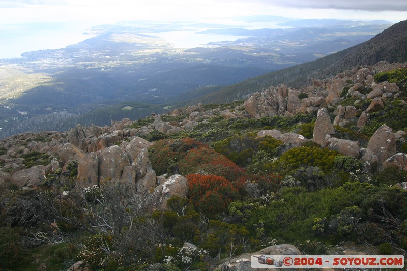 Mt Wellington
