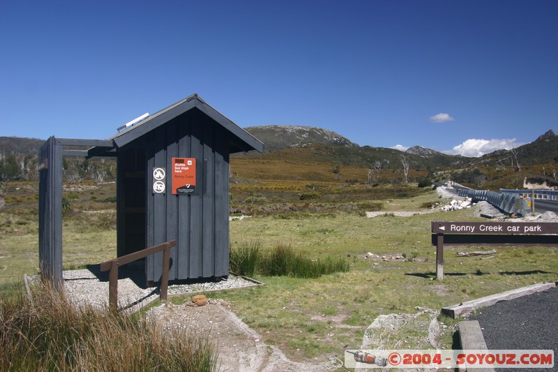 Overland Track - Ronny Creek
