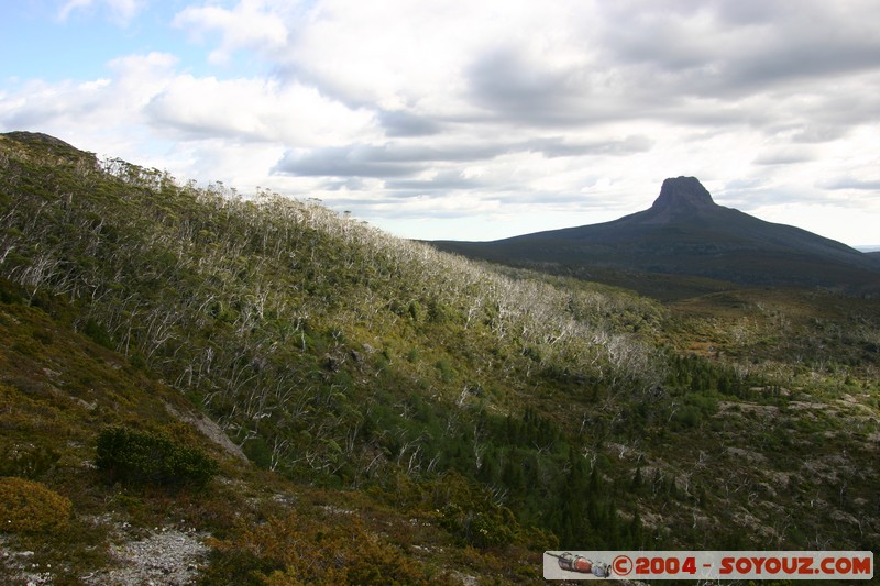 Overland Track - Barn Bluff
