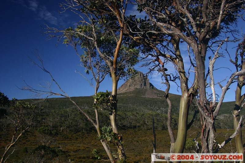 Overland Track - Craddle Mountain
