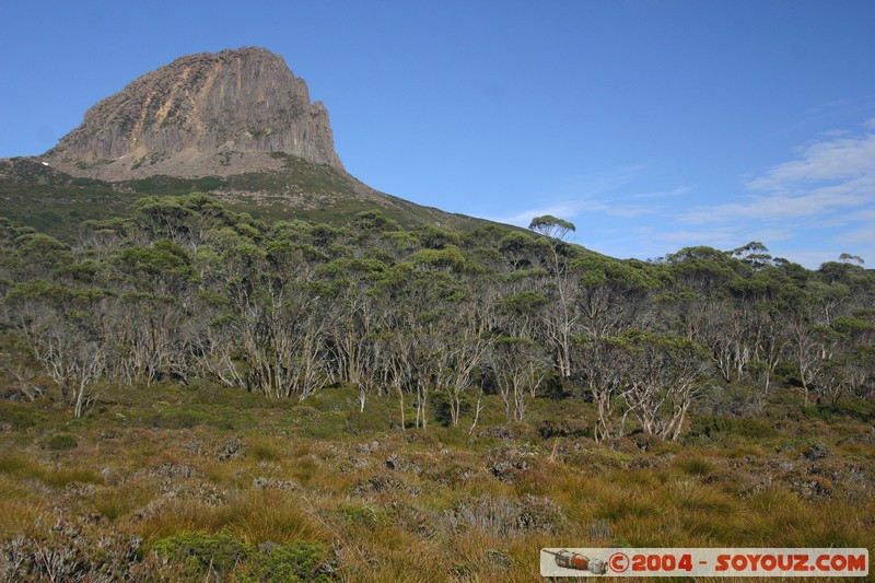 Overland Track - Barn Bluff
