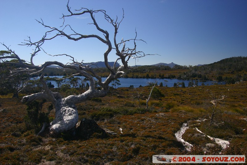 Overland Track - Lake Windermere
