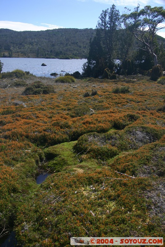 Overland Track - Lake Windermere
