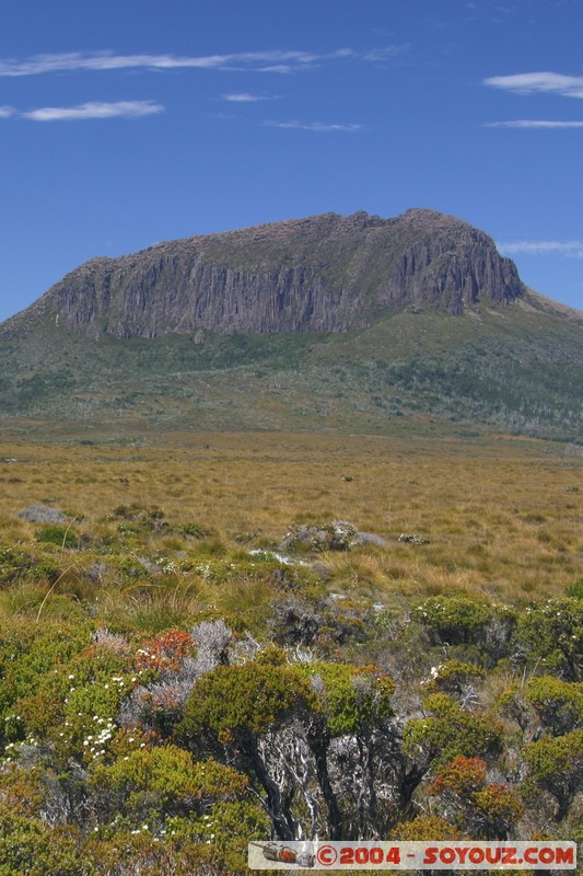 Overland Track - Mt Pelion West
