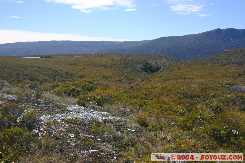 Overland Track
