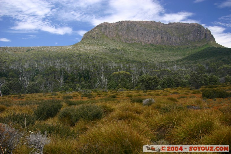 Overland Track - Mt Pelion West
