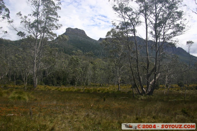 Overland Track - Frog Flats
