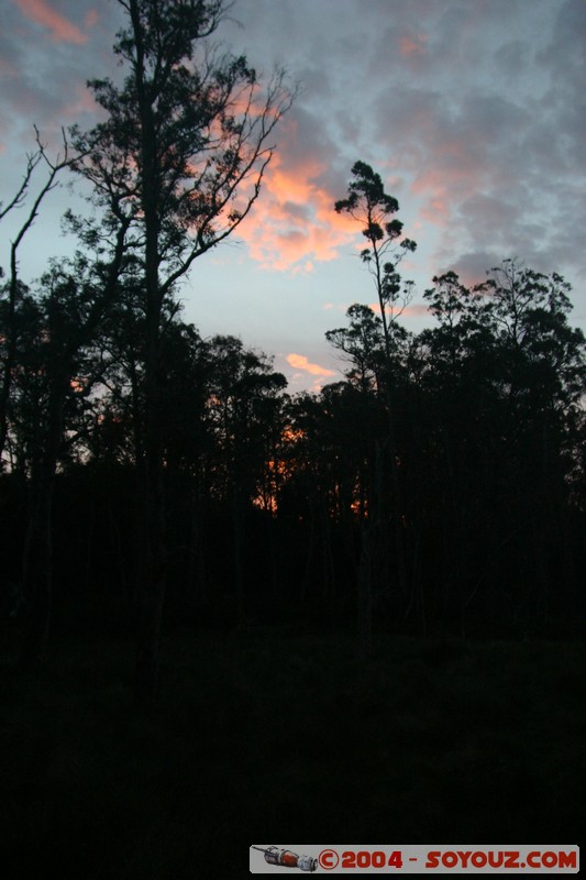 Overland Track - Pelion Plains
Mots-clés: sunset