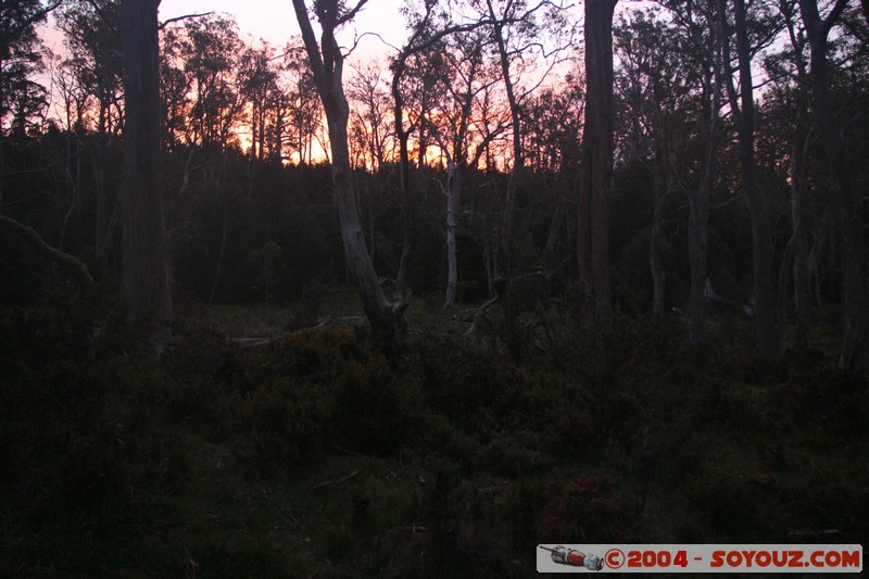 Overland Track - Pelion Plains
Mots-clés: sunset