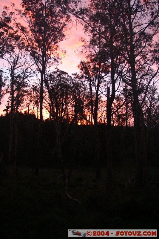 Overland Track - Pelion Plains
Mots-clés: sunset