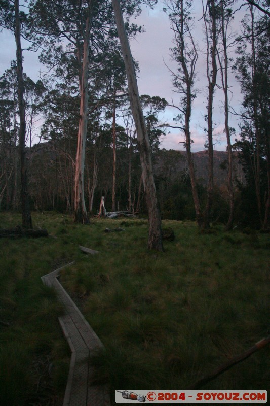 Overland Track - Pelion Plains
Mots-clés: sunset