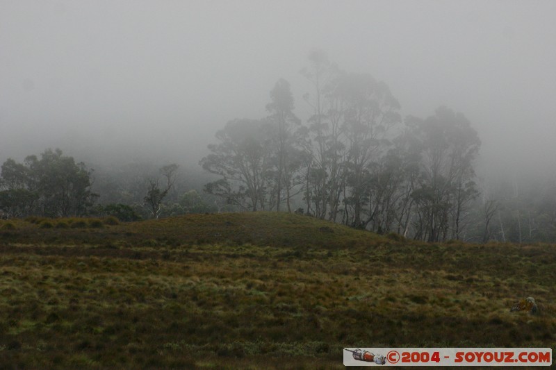 Overland Track - Brume
