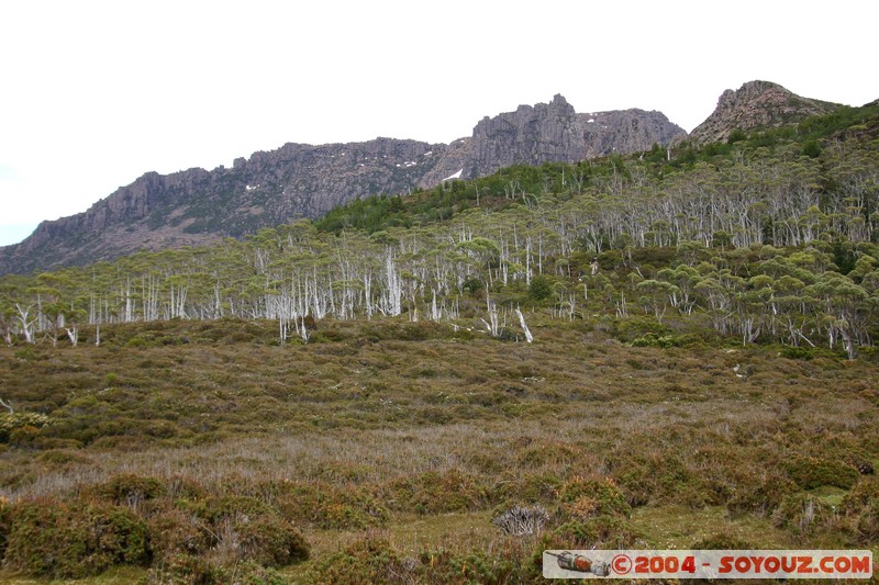 Overland Track - Pelion Gap - Mount Ossa
