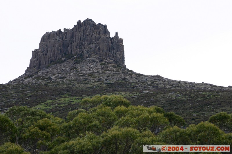 Overland Track - Pelion Gap - Mount Pelion East
