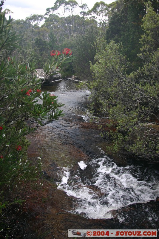 Overland Track - Pelion Gap
