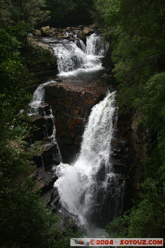 Overland Track - D'Alton Falls
Mots-clés: cascade