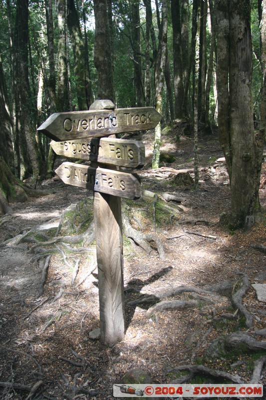 Overland Track
