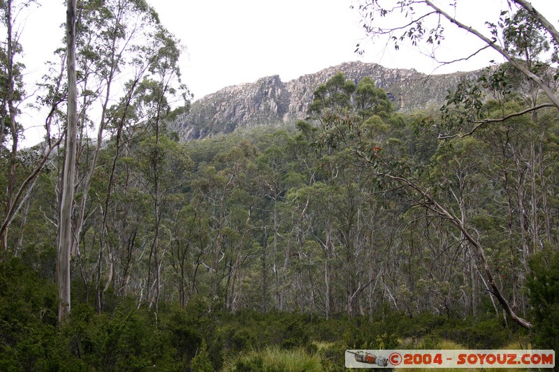 Overland Track - Cathedral Mountain
