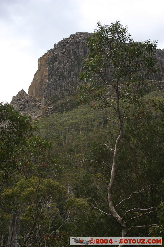 Overland Track
